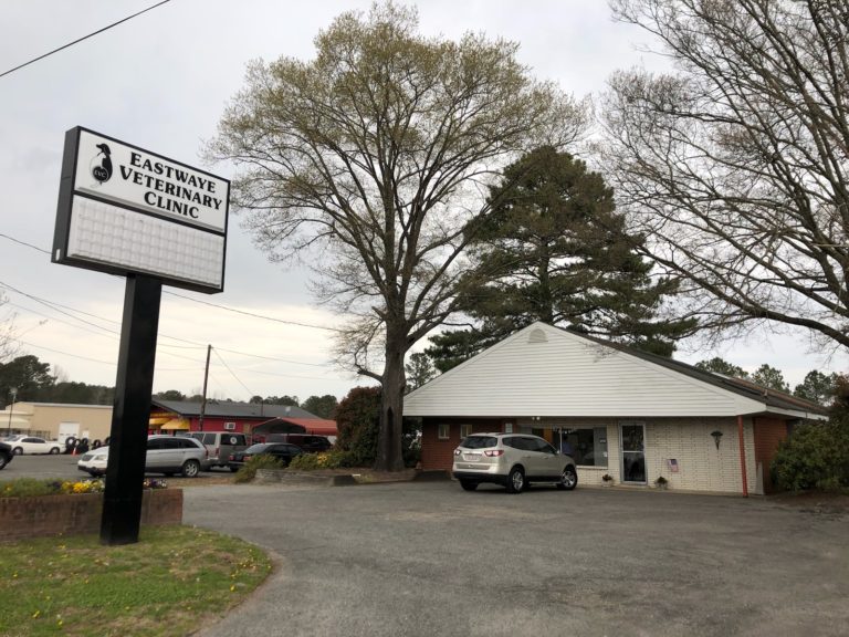 About Us Goldsboro, NC Eastwaye Veterinary Clinic