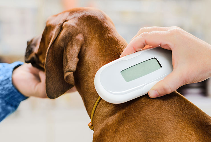 pet-microchipped_banner