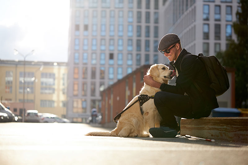 The Incredible World of Seeing Eye Dogs National Seeing Eye Dog Day