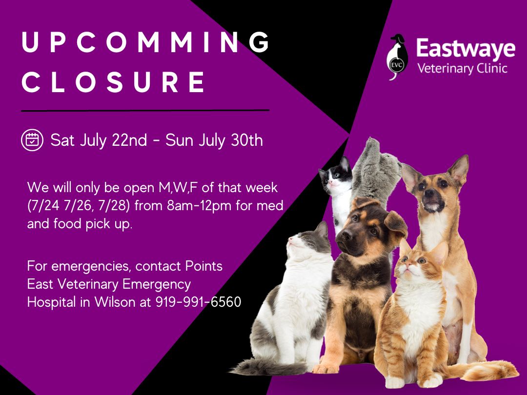 Veterinarian Goldsboro, NC Eastwaye Veterinary Clinic